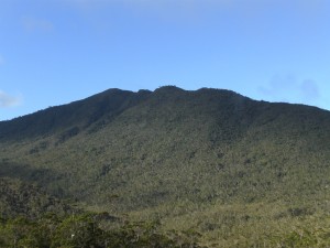 Mt. Hamiguitan's peak / Wikipedia Photo