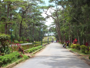 A park in Baguio taken from Discoverbaguio.com. 