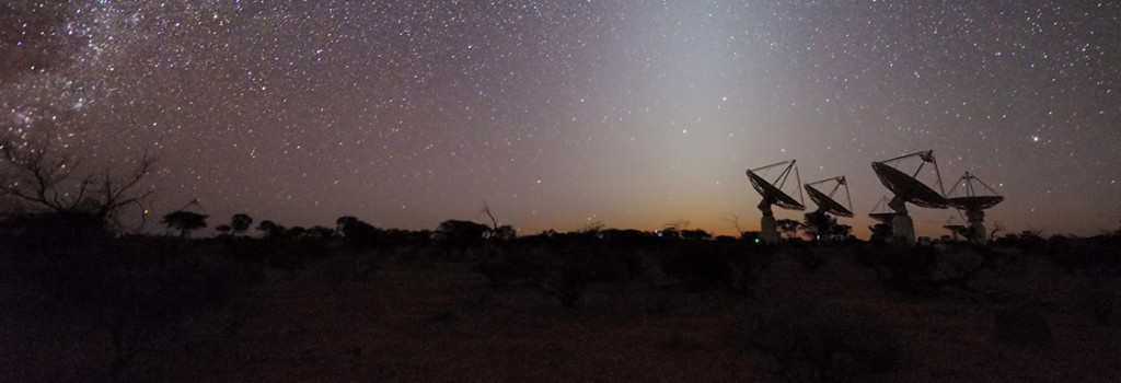 (photo courtesy of the Commonwealth Scientific and Industrial Research Organization (CSIRO))