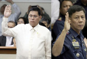 Purisima and Napenas now facing criminal charges (photo: Senate PRIB, File)