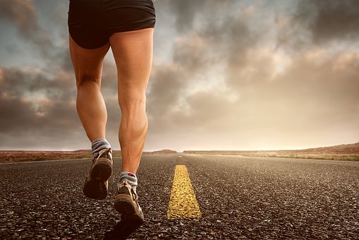 The province’s 23 municipalities sent delegates to the sports meet with the town of Quezon, also in the southern part, having the most number of athletes and sports official at 500. (Pixabay photo)