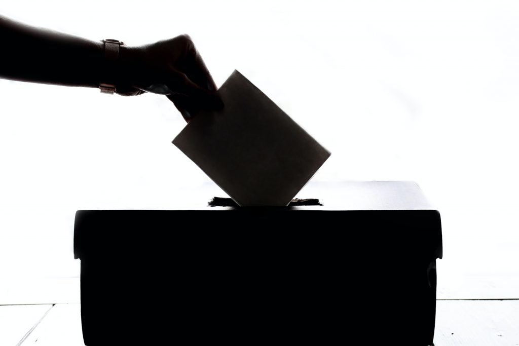 silhouette of voting ballot