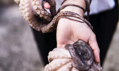 hand holding an octopus