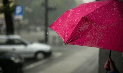 pink umbrella in the middle of the rain