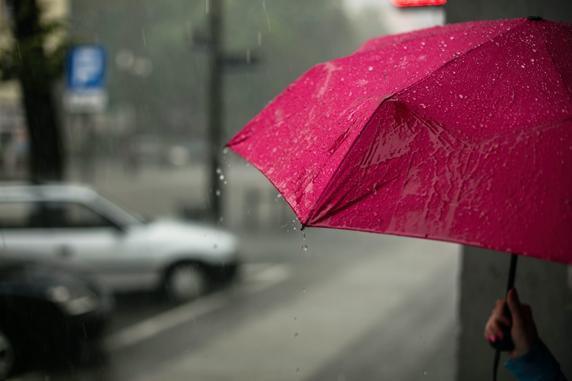 pink umbrella in the middle of the rain