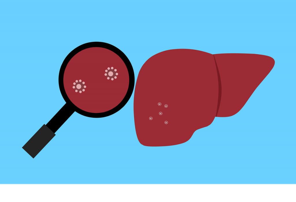 Liver