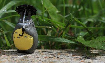 My Neighbor Totoro