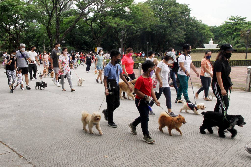 People walking with dogs