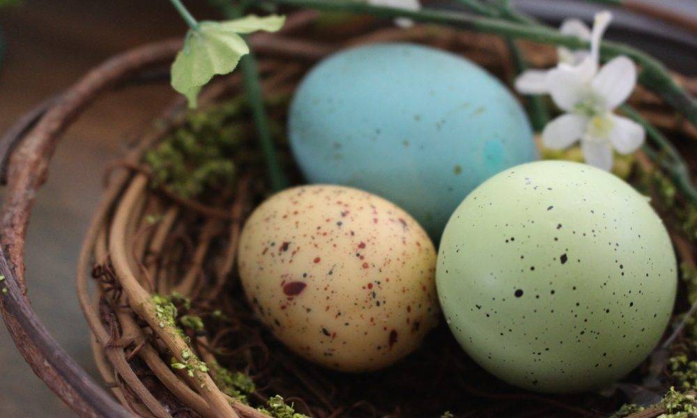 Blue, orange, and green eggs in a nest with flowers