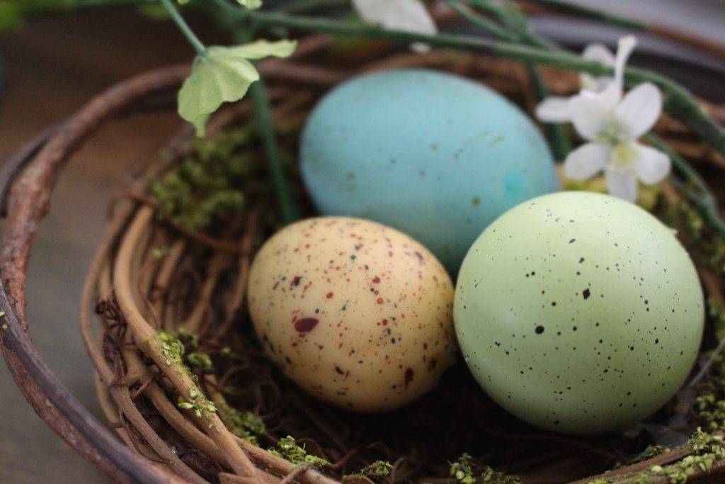 Blue, orange, and green eggs in a nest with flowers