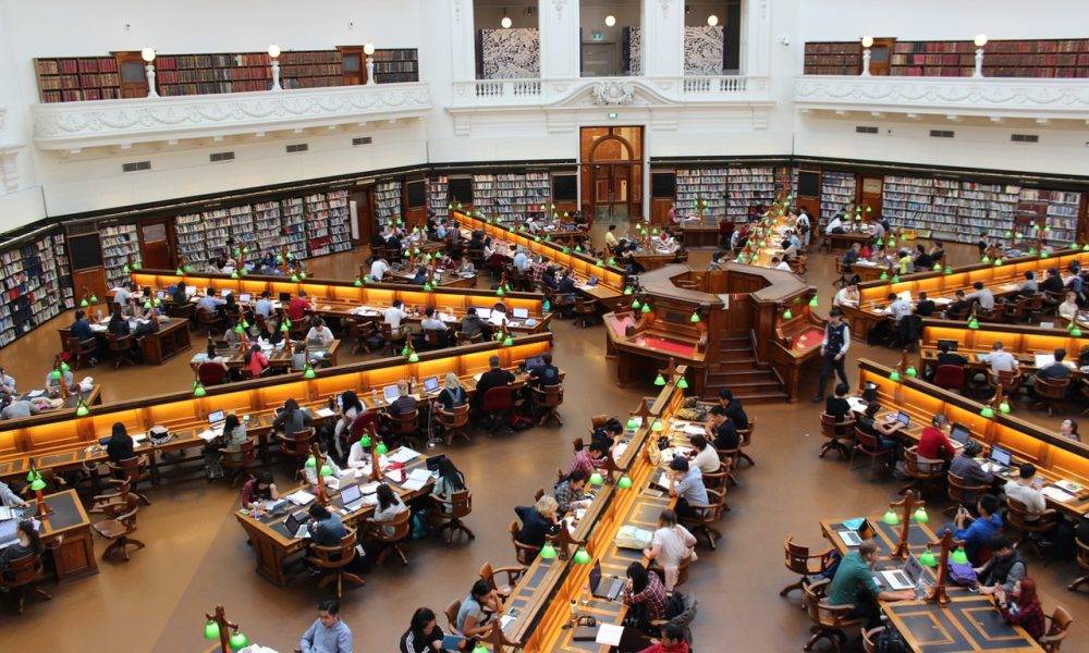 people inside a library
