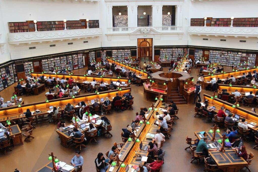people inside a library