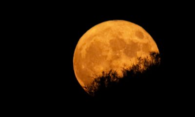 The moon in yellow tone on a the dark sky
