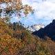 A view of trees and the mountains at the background in Peneda-Gerês National Park
