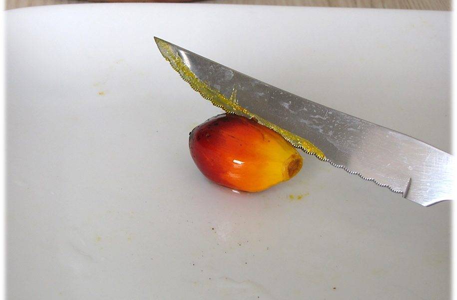 Yellow oil from palm fruit being cut by a knife