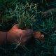A hand pulling on grass