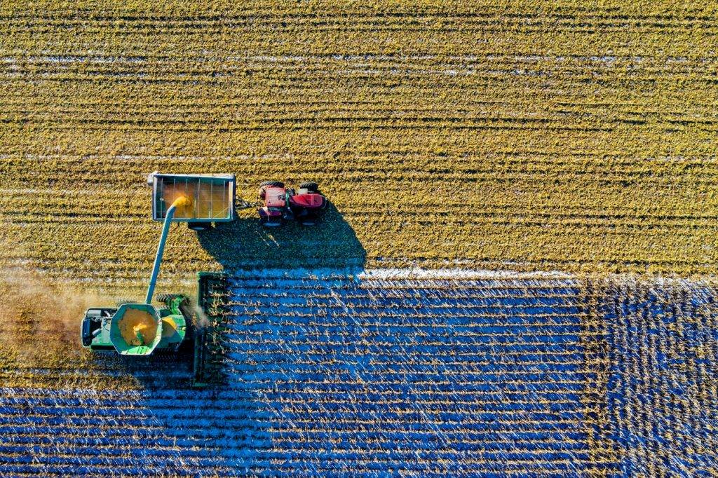 harvesting in a green field