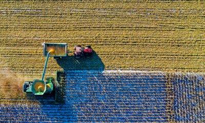 harvesting in a green field