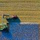 harvesting in a green field