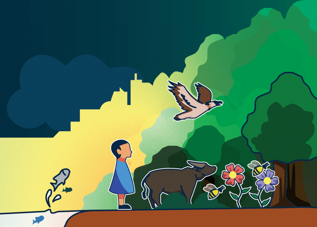 Illustration of a boy, tamaraw, a fish, and an eagle in a forest