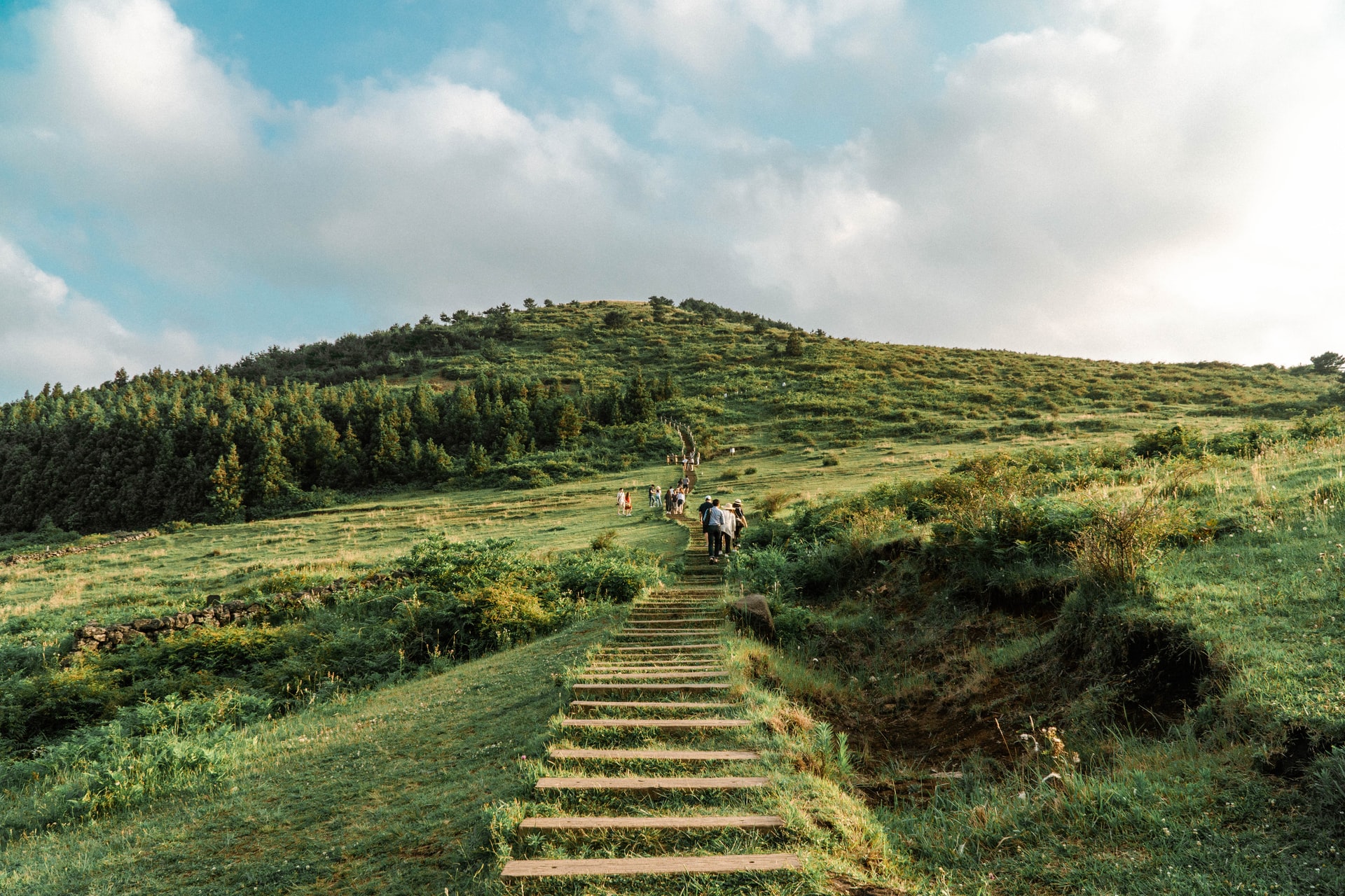 Green grass uphill in Jeju