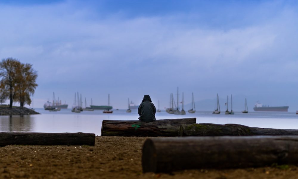 person sittiing on brown log in vancouver