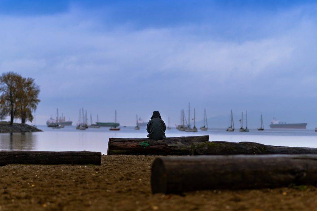 person sittiing on brown log in vancouver