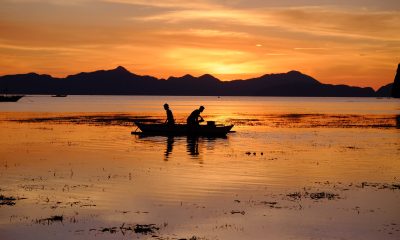 silhouette of two people in a boat in a body of water during sunset