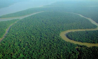 aerial view of amazon rainforest