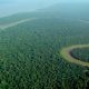 aerial view of amazon rainforest