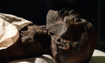 Photograph of Ramses I's mummy