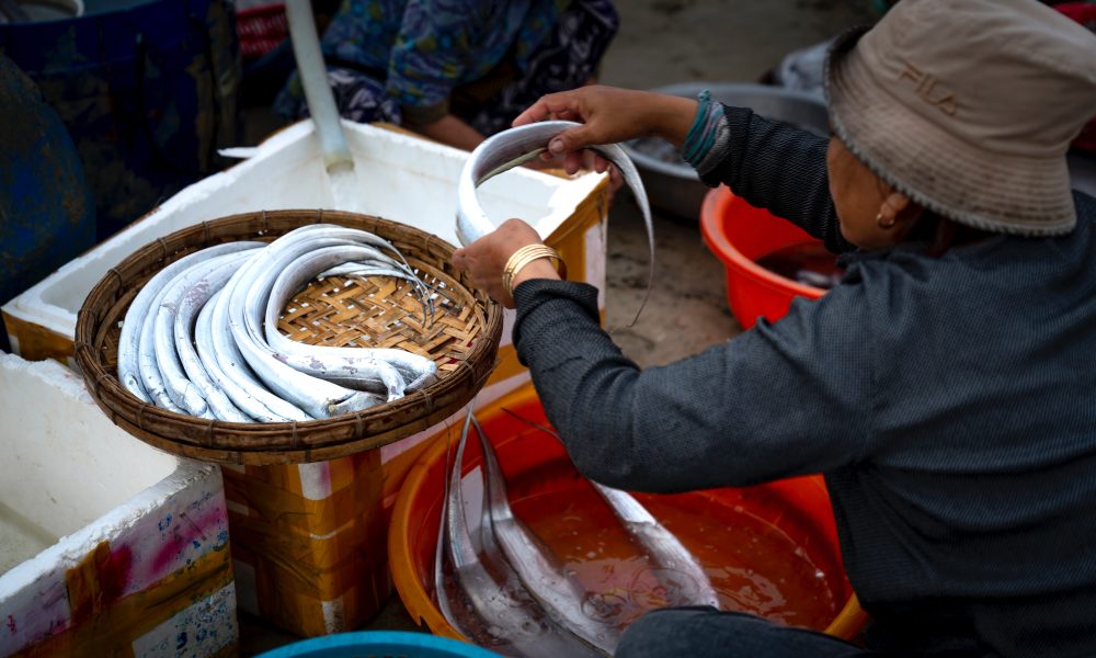 Woman in Gray Long Sleeve Shirt Washing Fish