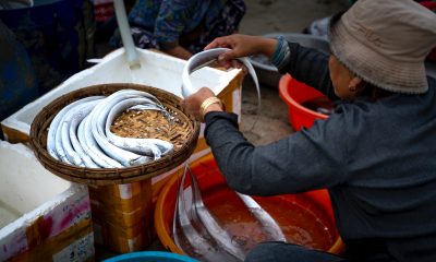 Woman in Gray Long Sleeve Shirt Washing Fish