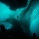 Silhouettes of schools of fish and a diver underwater