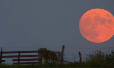 Orange moon on purple sky