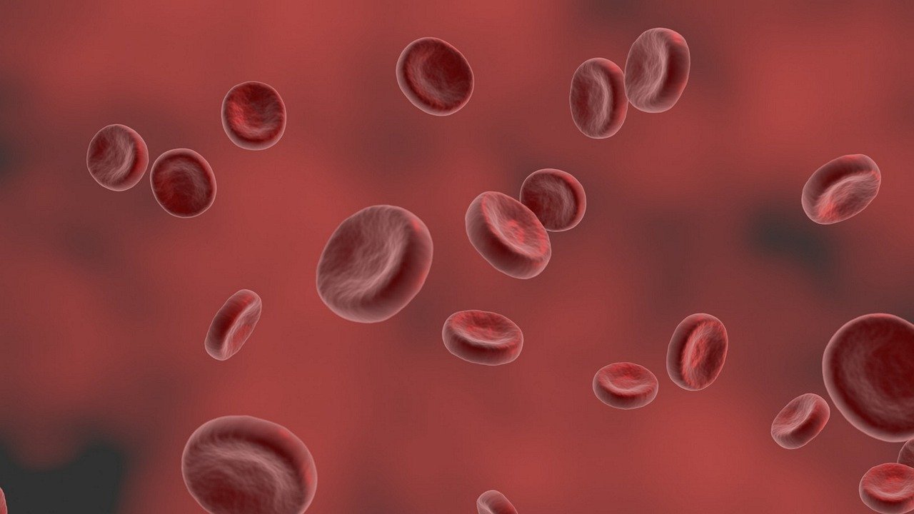 graphic image of red blood vessels