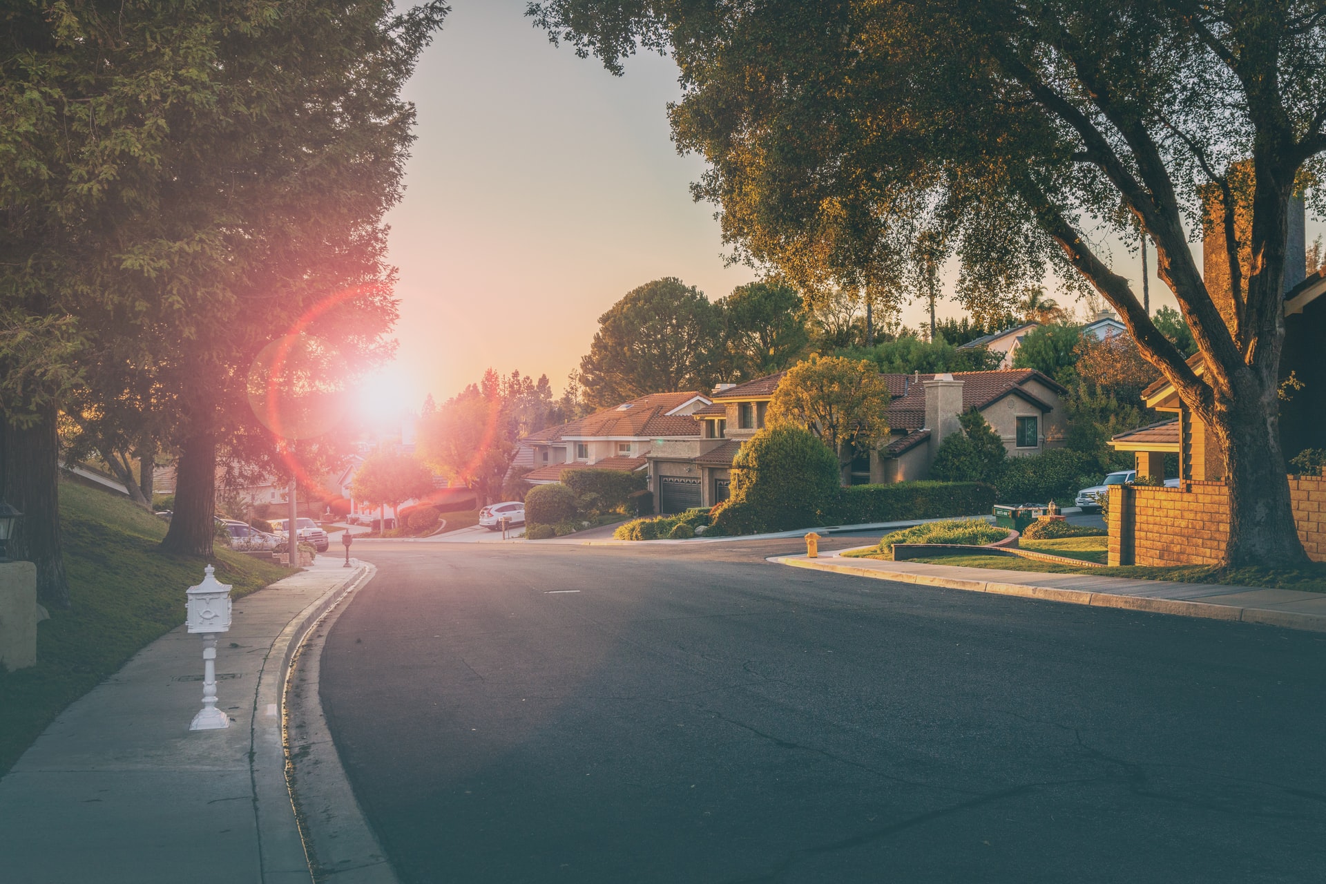 Road with house and trees in the background