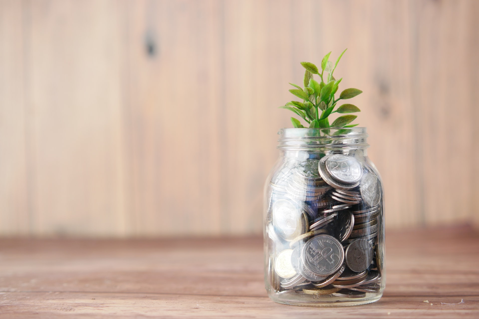 Glass jar of coins with plastic plant on it