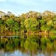 Amazonia River