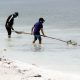 workers cleaning dolomite beach