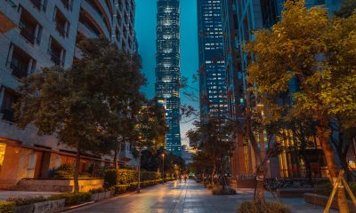 Green Trees Near High Rise Buildings