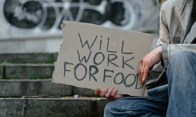 Will work for food sign