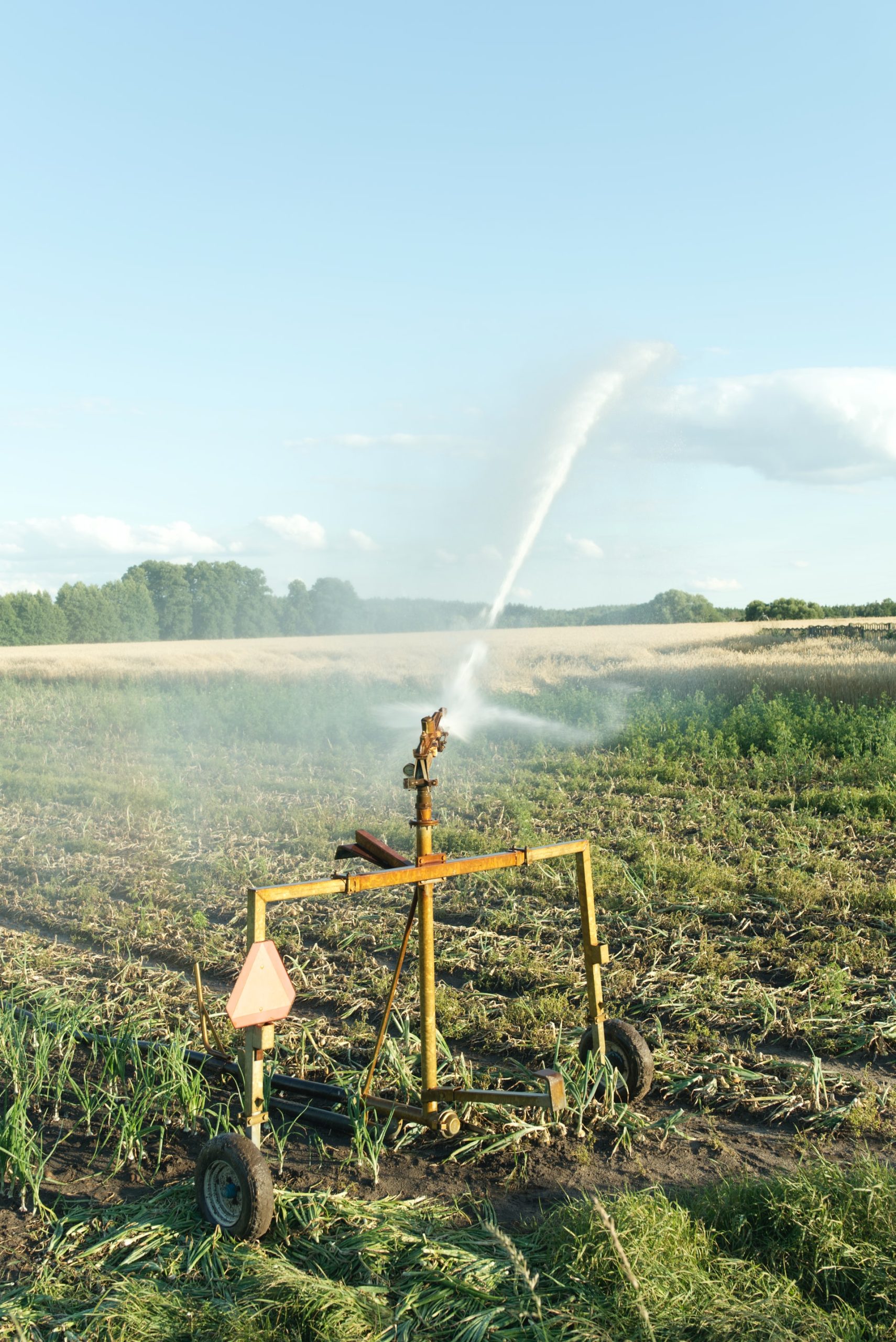 irrigation machine on a field