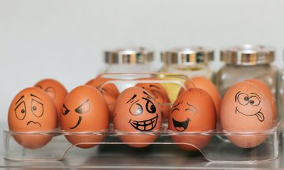 faces on eggs