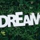 Dream Text on Green Leaves