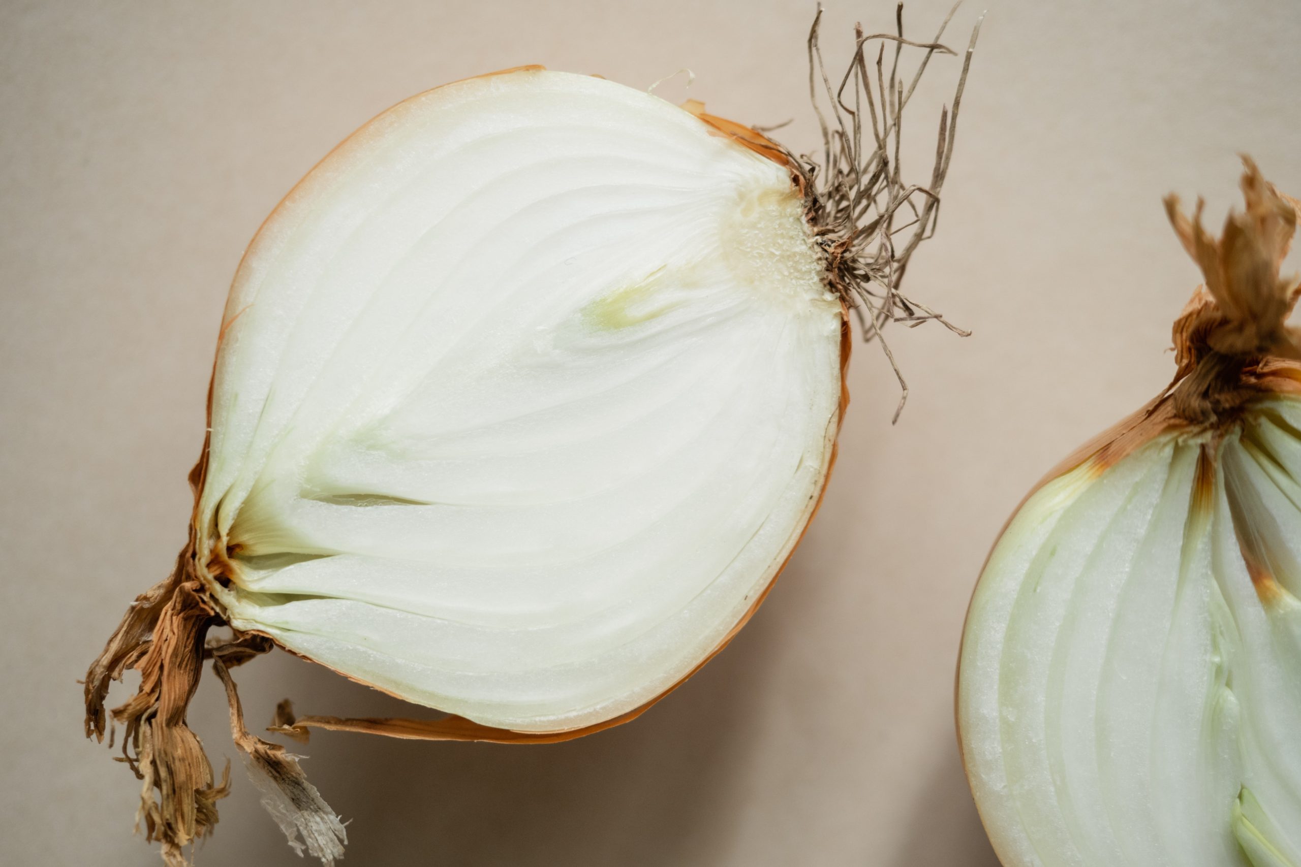 Onion Cut in Half