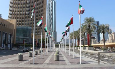 UAE flags raised on poles