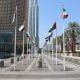UAE flags raised on poles