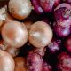 red and white onions