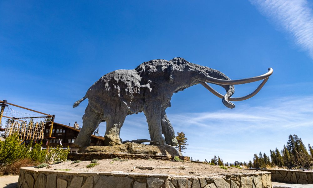 woolly mammoth statue